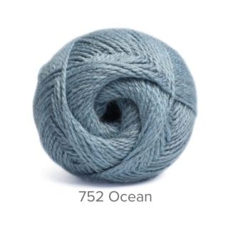 Charity 300g Chunky - Ocean